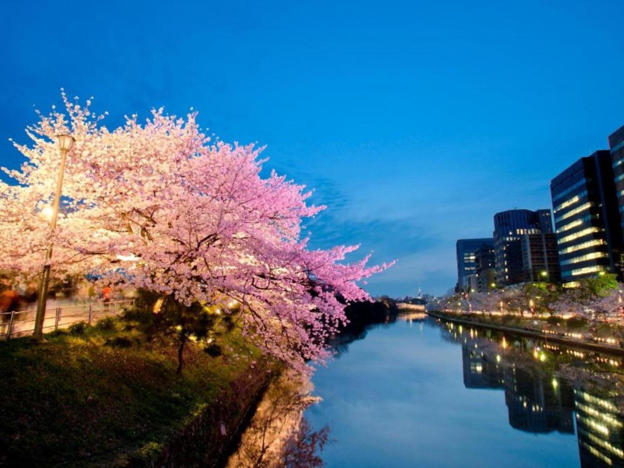 Hotel Resol Trinity Hakata Fukuoka  Exteriér fotografie